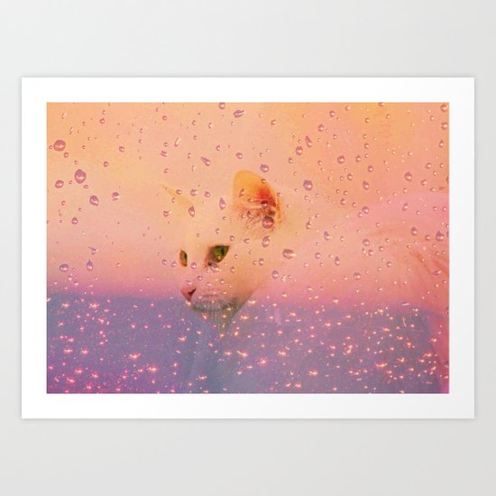 White Cat, rainy Day Art Print
