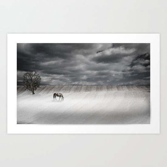 Misty Pasture Art Print