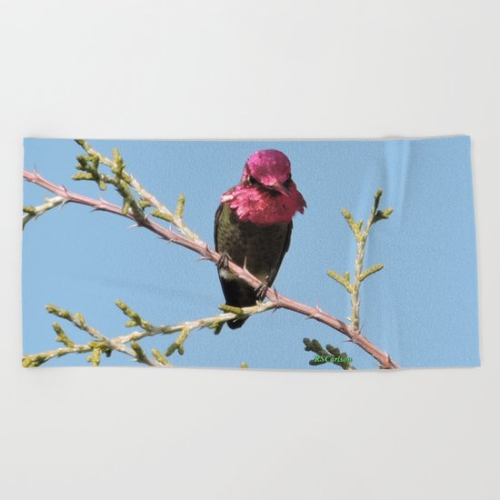 Mr. Anna's Hummingbird in Ideal Light Beach Towel