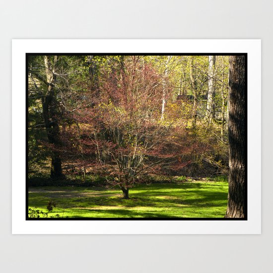 Irohamomiji: Spring Art Print
