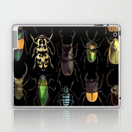 Insects Beetles Collage Laptop Skin