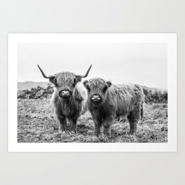 Highland Cow & Calf Art Print
