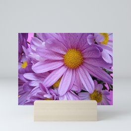 Cheerful Chrysanthemums Mini Art Print