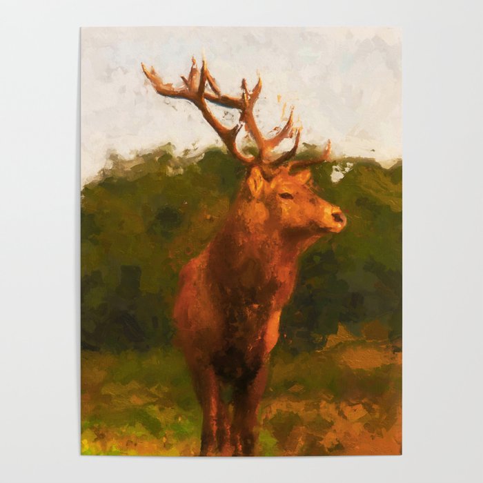 Deer Portrait Poster