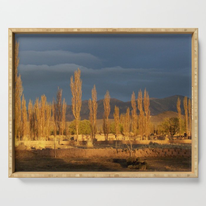 Argentina Photography - Trees In The Warm Sunset Serving Tray