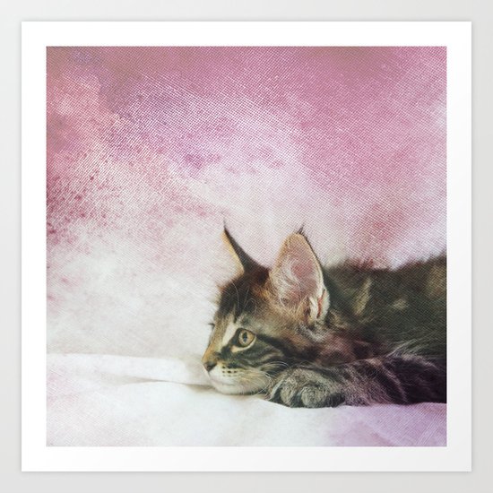 CAT Art Print