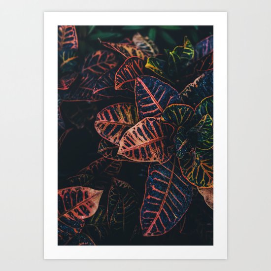 Dark Leaves - Nature Photography Art Print
