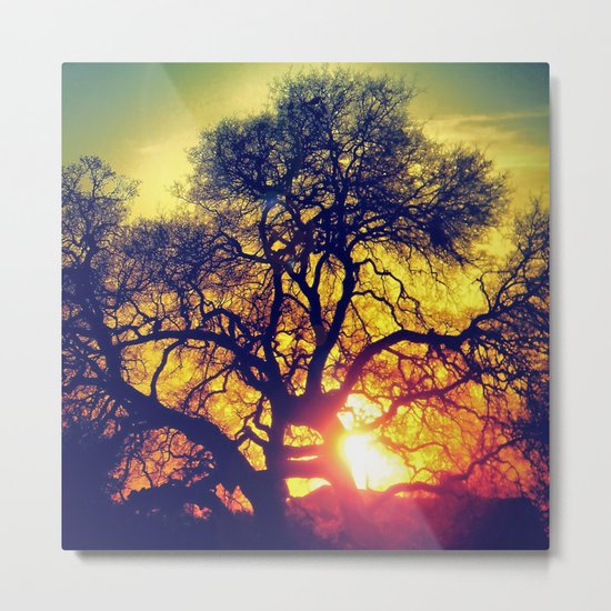Through the trees Metal Print