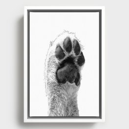Black and White Dog Paw Framed Canvas