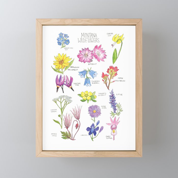Montana Wildflowers Chart Framed Mini Art Print