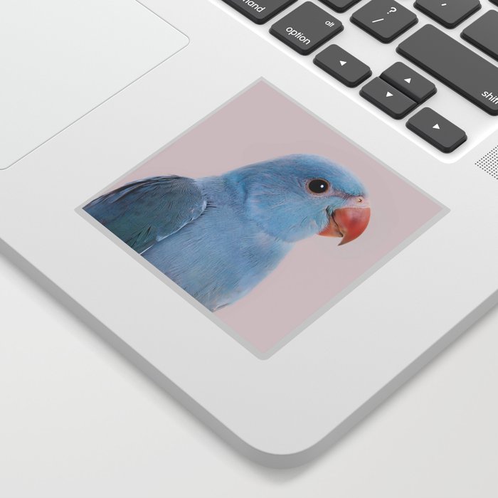 Blue Parrot Sticker