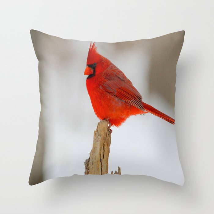 Male Cardinal Throw Pillow