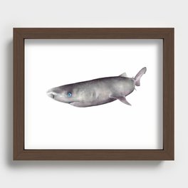 Greenland shark watercolor art Recessed Framed Print