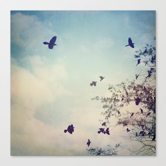 Birds of Clearwater Canvas Print