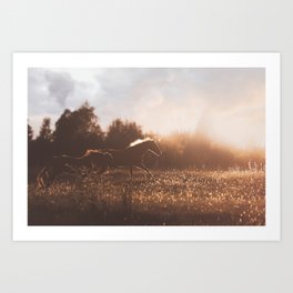 Horses after the Morning Feed Art Print