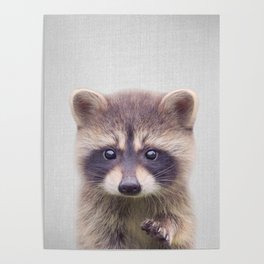 Raccoon - Colorful Poster