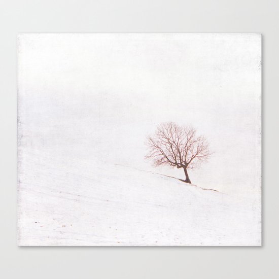 Lone Tree {Textured} Canvas Print
