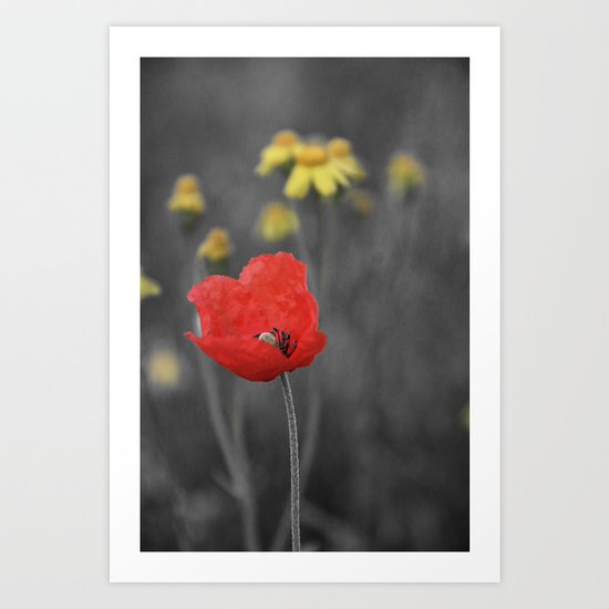 Poppy Art Print