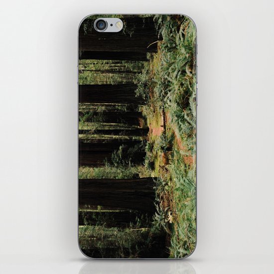 Deer in Redwood Forest iPhone & iPod Skin
