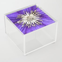 Focus11 Acrylic Box