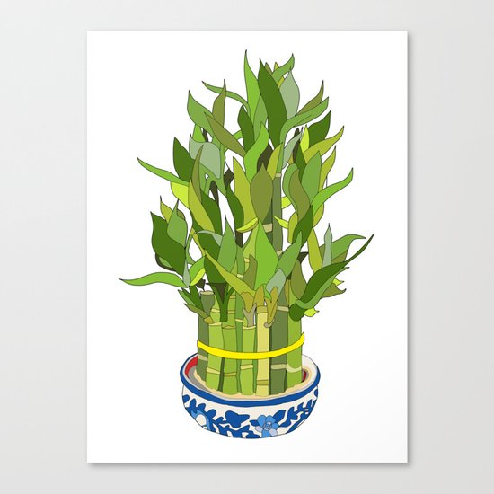Lucky Bamboo in Porcelain Bowl Canvas Print