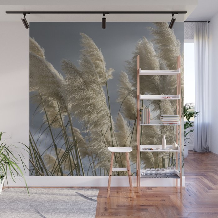 Pampas Grass Wall Mural By Davehare