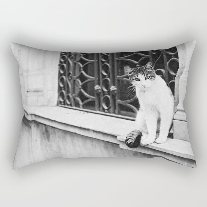Istanbul Cat Rectangular Pillow
