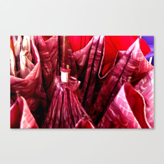 Anatomy of an Unbrella Canvas Print