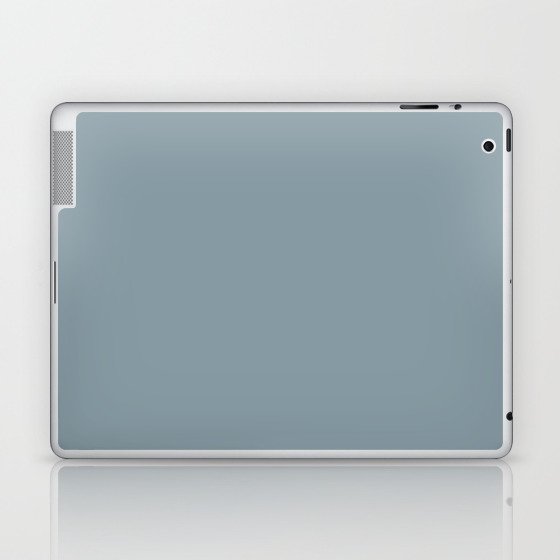 Light Slate Gray Laptop & iPad Skin