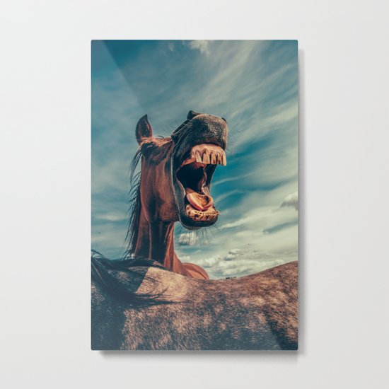 Horse smile Metal Print