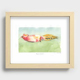 Squid carrying eggs Recessed Framed Print