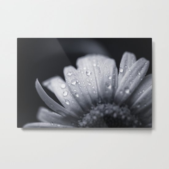 After The Rain Metal Print