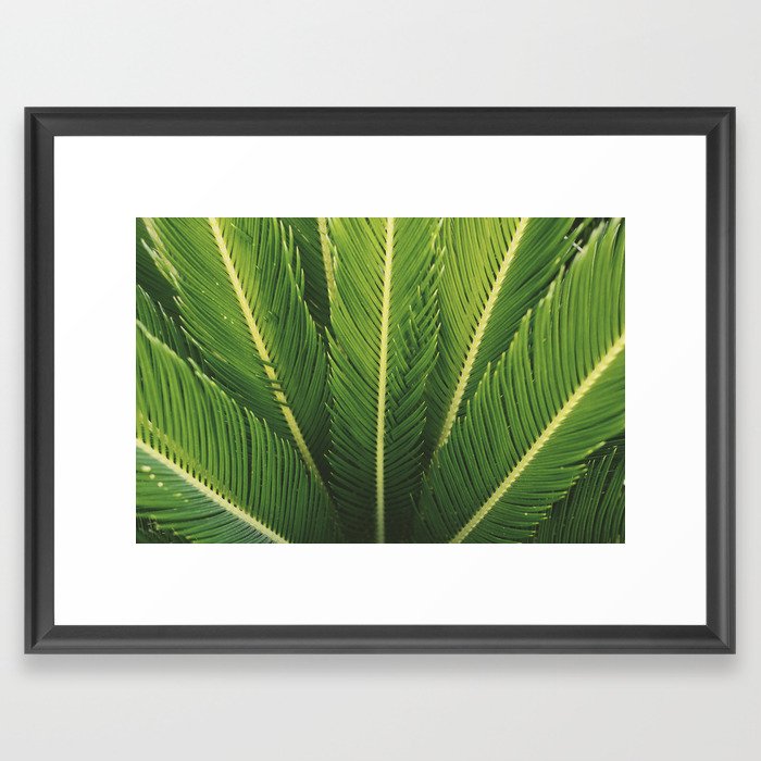 palm tree Framed Art Print