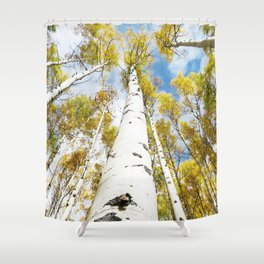 Aspen Trees in Nature Shower Curtain