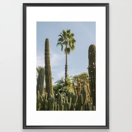 Serenity in Marrakesh: Palms, cactus and Sun Framed Art Print