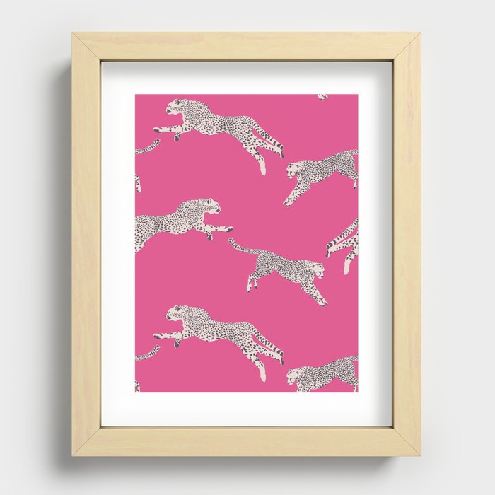 Leaping Cheetahs  Magenta Recessed Framed Print