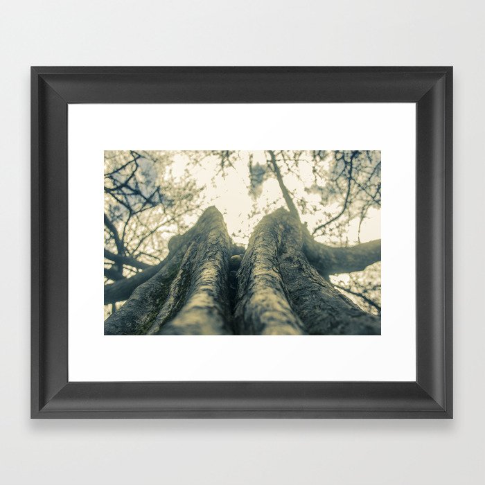 Up in the Trees Framed Art Print