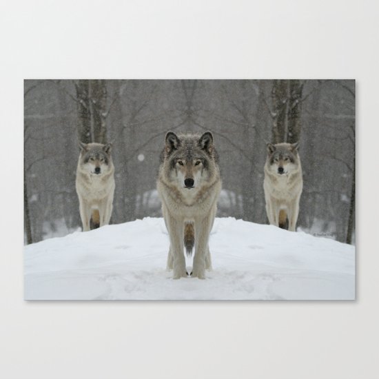 Posse Canvas Print