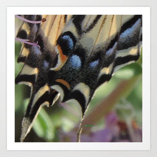 Detail of a Swallowtail Art Print