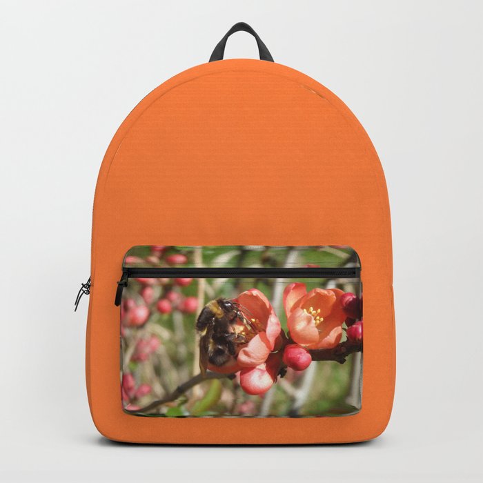 HARDWORKING BUMBLEBEE ON A QUINCE FLOWER Backpack