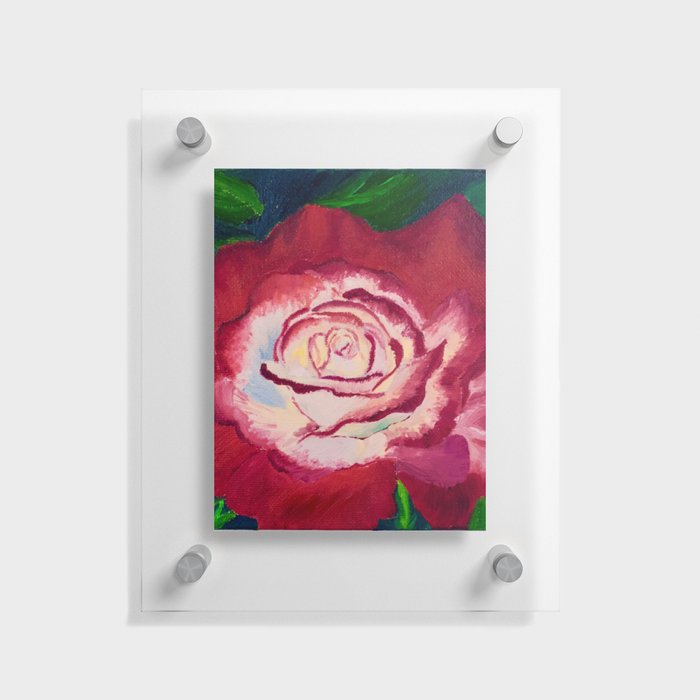 red rose Floating Acrylic Print