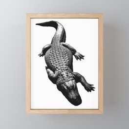 Alligators Love to Swim Framed Mini Art Print