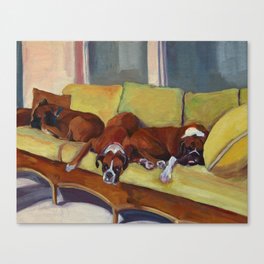 Boxer Dog Siesta Canvas Print