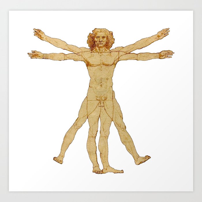 Vitruvian Man by Leonardo da Vinci.  Art Print