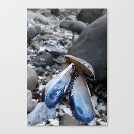 The World is Your Mussel Canvas Print