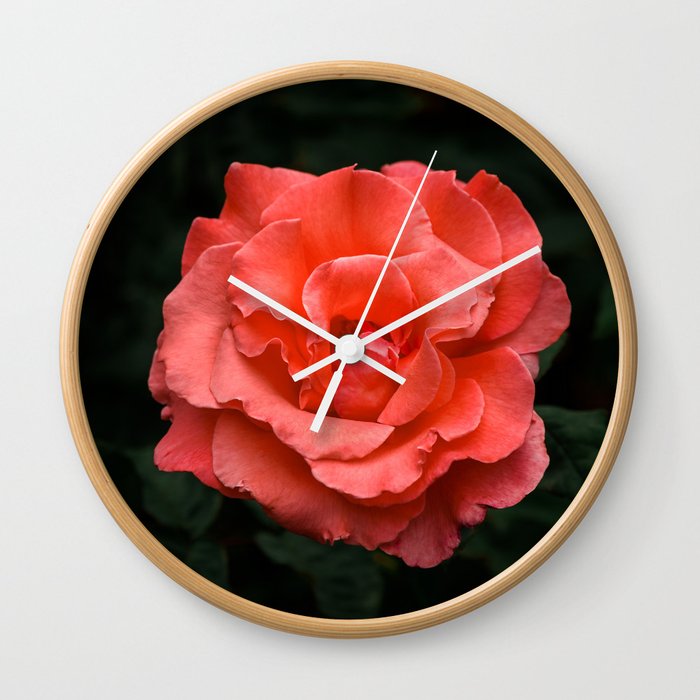 Touch Of Class Hybrid Orange Rose Is Blooming Wall Clock By Chee