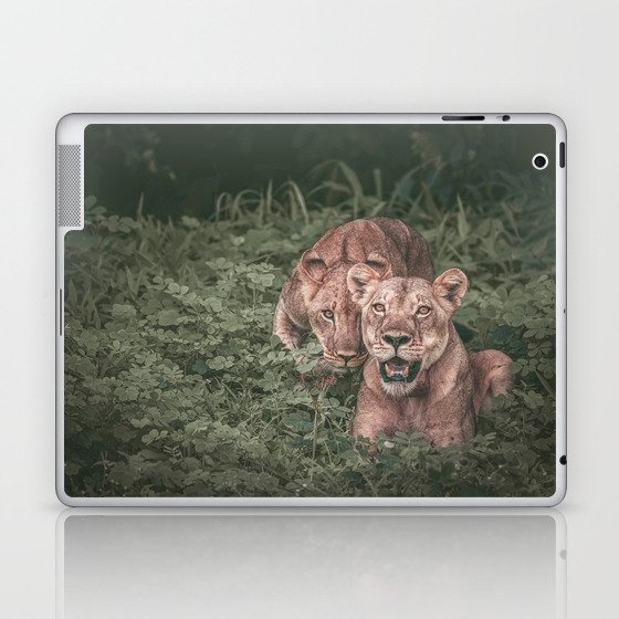 Lions Laptop & iPad Skin