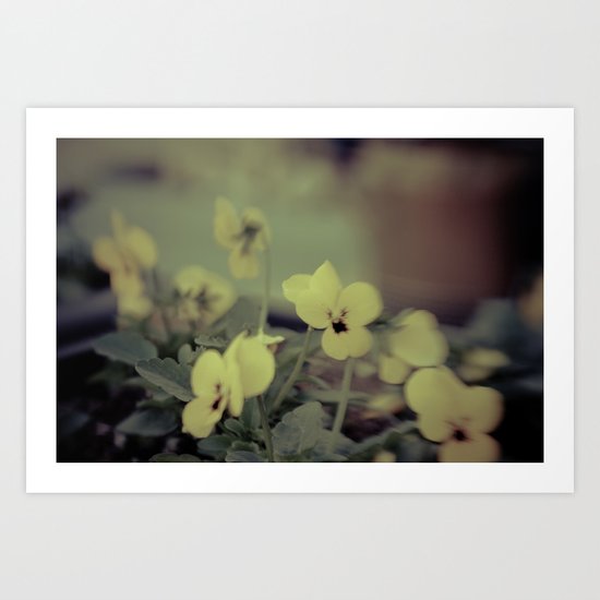 Miracles Art Print