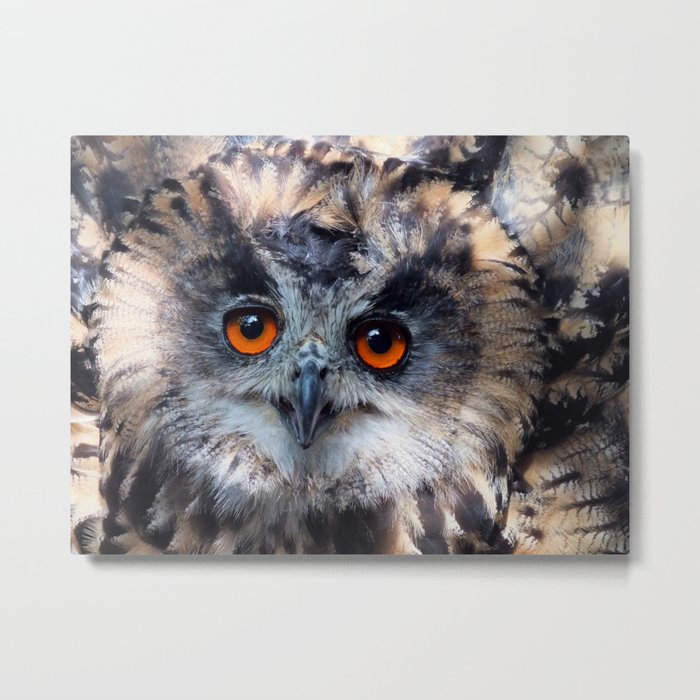 European Eagle Owl Metal Print