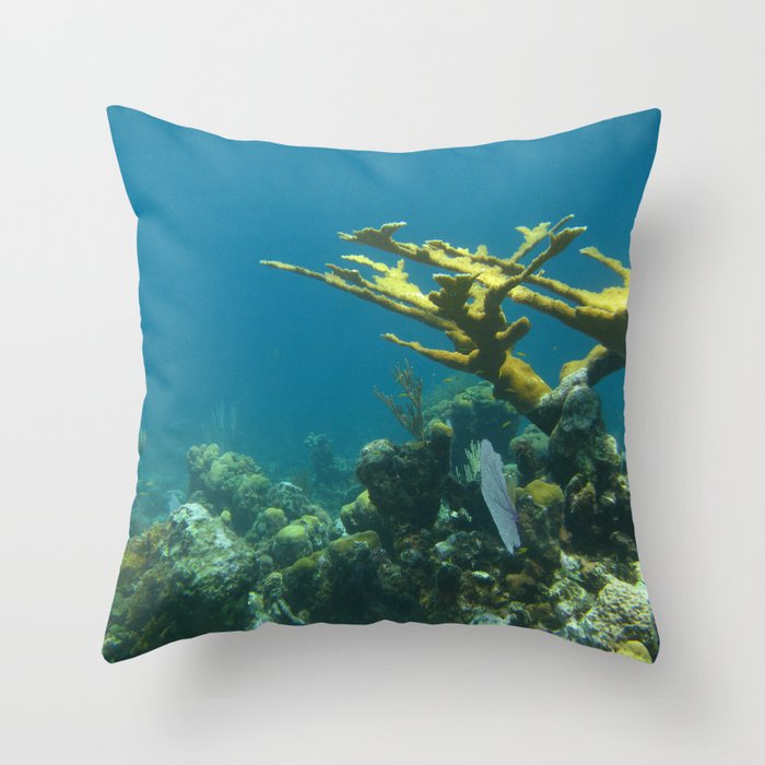 Reef Antenna Throw Pillow